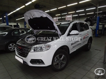 Упоры (амортизаторы) капота для Haval H6  (c 2014г.в.)