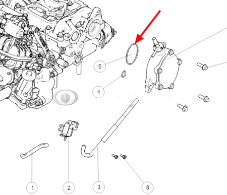 Прокладка вакуумного насоса (большое кольцо) Haval H9 Дизель, H5 II-поколение, GW Poer, Poer KingKong дизель (ОРИГИНАЛ) 