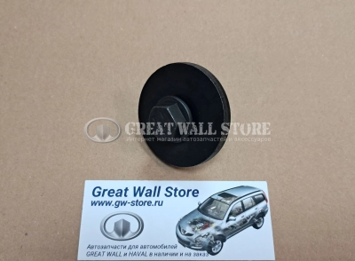 Болт шестерни выпускного распред. вала дв.GW4D20 Hover H5 Дизель, H6 Дизель, Wingle 7, Haval H9 дизель