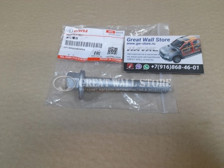 Болт развальный заднего поперечного рычага Haval Jolion 4WD, Dargo, Dargo X, H3 (90mm ОРИГИНАЛ)