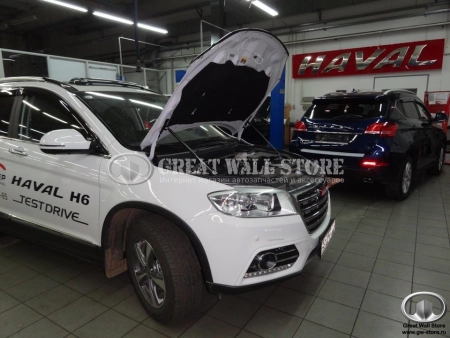 Упоры (амортизаторы) капота для Haval H6  (c 2014г.в.)