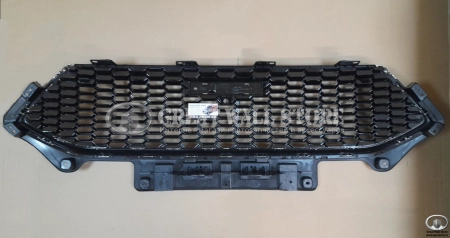 Решетка радиатора Haval F7 19- (аналог) Решетка радиатора Haval F7 19- (аналог)