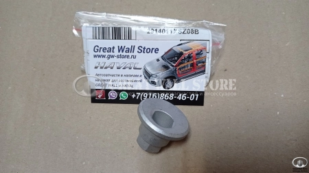 Гайка развальная заднего продольного рычага Haval H2 (ОРИГИНАЛ)