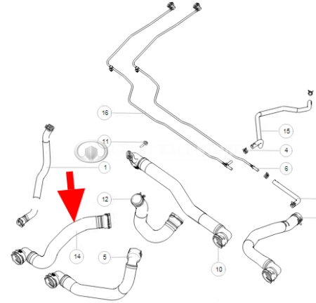 Патрубок радиатора охлаждения двигателя отводящий Haval F7, F7x (ОРИГИНАЛ) Патрубок радиатора охлаждения двигателя отводящий Haval F7, F7x (ОРИГИНАЛ)