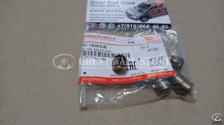 Колпачки маслосъемные (комплект 16 шт) Haval H2, H6 1.5T, Jolion 2WD, M6  (ОРИГИНАЛ)