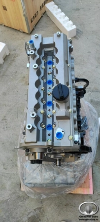 Двигатель GW4D20 в сборе для Hover H5 ДИЗЕЛЬ 2.0л (без навесного) Двигатель GW4D20 в сборе для Hover H5 ДИЗЕЛЬ 2.0л (без навесного)