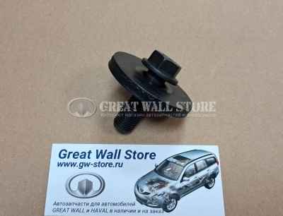 Болт шестерни выпускного распред. вала дв.GW4D20 Hover H5 Дизель, H6 Дизель, Wingle 7, Haval H9 дизель