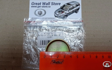 Заглушка блока цилиндров Hover (D=40)