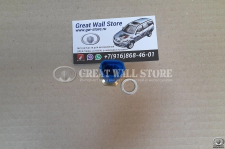 Датчик температуры охлаждающей жидкости Hover H5 ДИЗЕЛЬ Датчик температуры охлаждающей жидкости Hover H5 ДИЗЕЛЬ