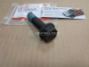 Болт шкива демпфера коленвала GW Hover H5 дизель, Hover H6, Wingle 7, Haval H2, H6, H9 дизель (14мм ОРИГИНАЛ замена 1005401XEG01B )