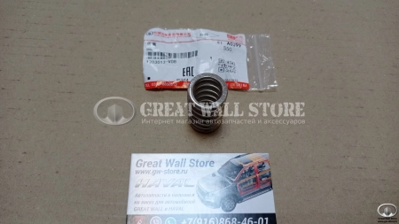 Пружина болта глушителя (приемной трубы) Haval H6, M6, Jolion, F7, F7 1.5 (ОРИГИНАЛ)