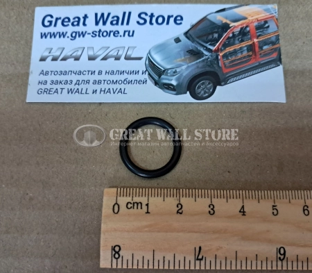 Прокладка вакуумного насоса (малое кольцо) Haval H9 Дизель, H5 II-поколение, GW Poer, Poer KingKong дизель (ОРИГИНАЛ)