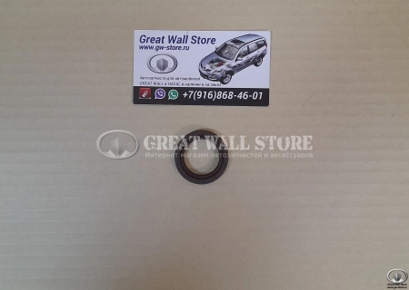 Сальник вала балансировочного правого Hover 2.4L (25x35x6)