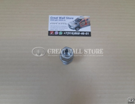 Болт колесный Haval H8, Jolion, Dargo, Dargo X, H3, F7 II-поколение (ОРИГИНАЛ) Болт колесный Haval H8, Jolion, Dargo, Dargo X, H3, F7 II-поколение (ОРИГИНАЛ)